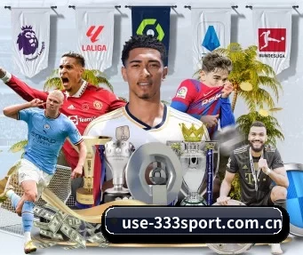 use-333sport.com.cn APP