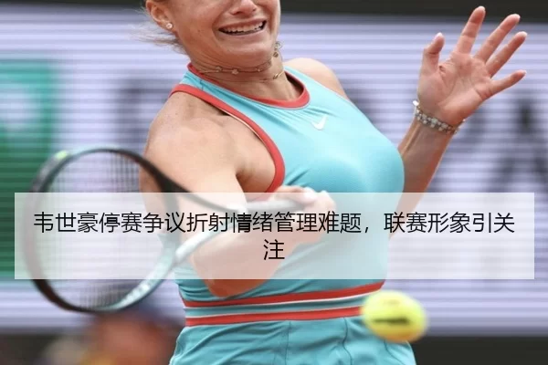 韦世豪停赛争议折射情绪管理难题，联赛形象引关注